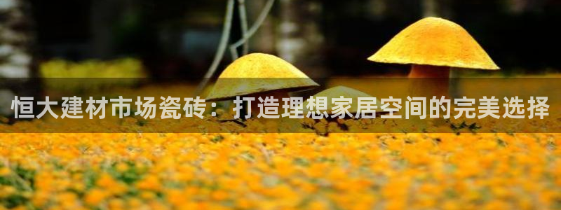 杏鑫官网注册账号密码是什么