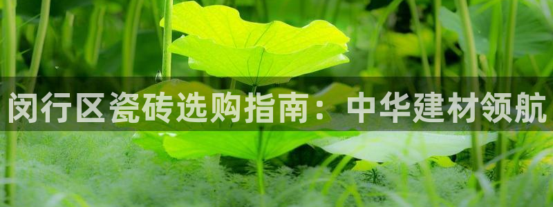 杏鑫娱乐是合法的吗是真的吗