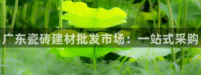 杏鑫娱乐是真的吗