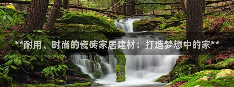 杏鑫平台注册网址查询