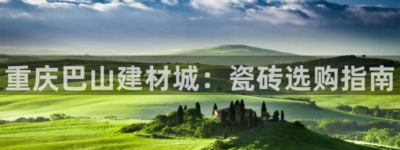 杏鑫平台代理注册流程图