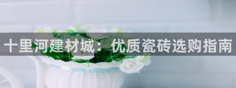 杏鑫官方平台怎么样啊