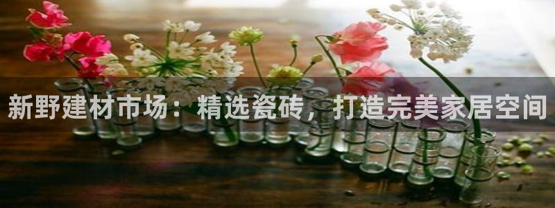 杏鑫平台代理怎么样可靠吗