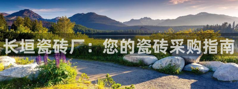 杏鑫娱乐开发团队