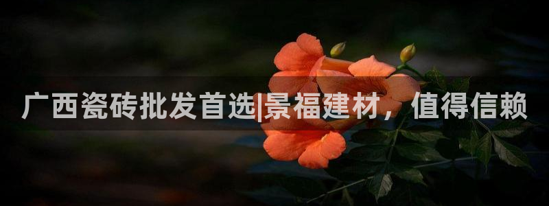 杏鑫平台代理怎么样啊