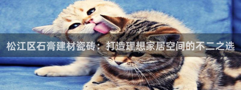 杏鑫平台野马联盟怎么样