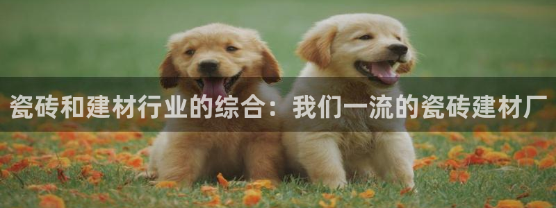 杏鑫平台怎么样知乎