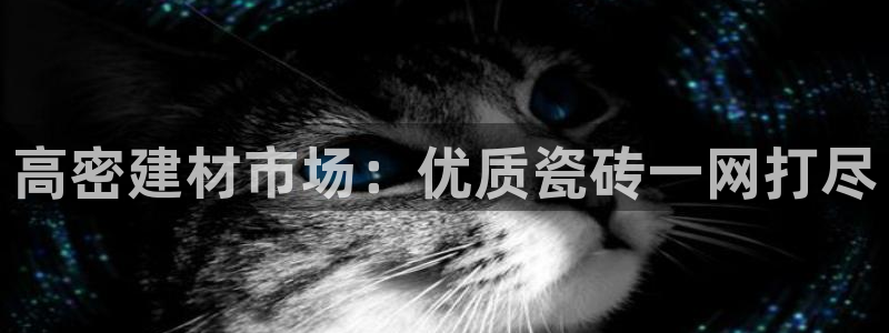 杏鑫娱乐怎么下