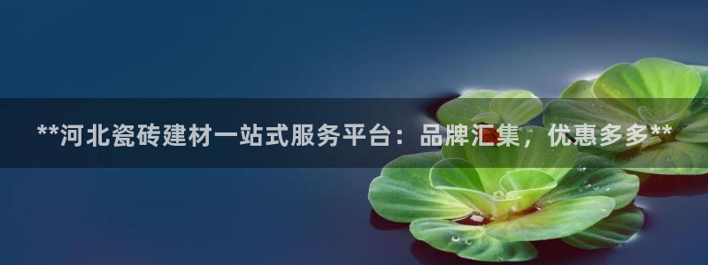 杏鑫官网注册账号密码是多少