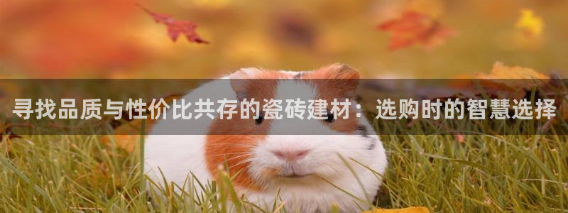 杏鑫注册平台官方网站是什么