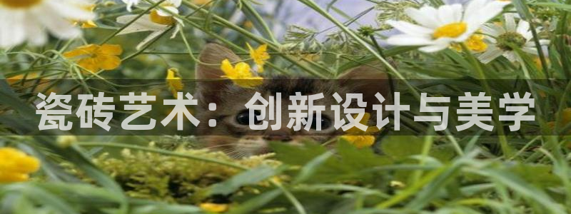 杏鑫平台代理注册多少钱啊