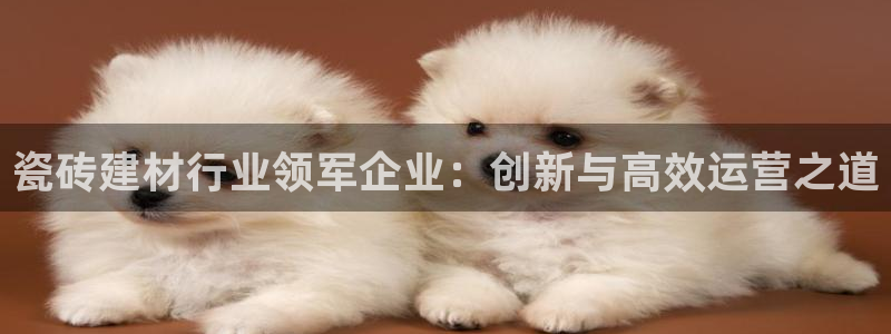 杏鑫娱乐平台登录