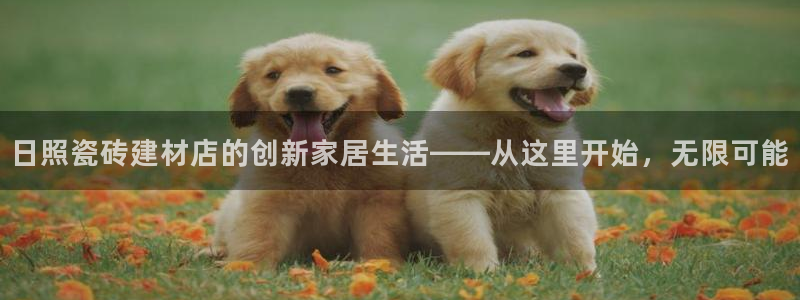 杏鑫平台代理注册多少钱一年