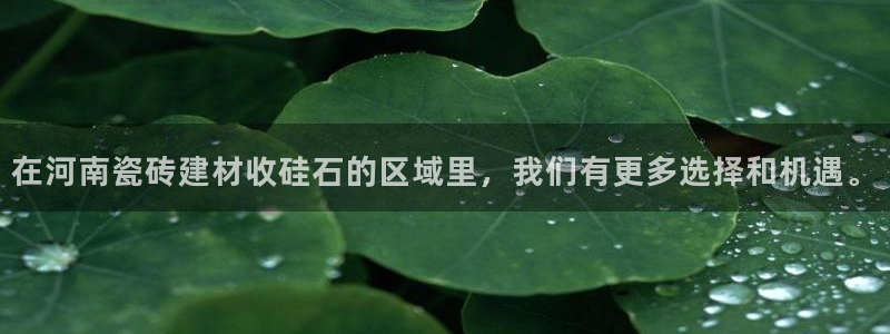 杏鑫平台正规吗可信吗