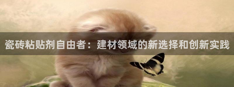 杏鑫注册登录代理公司