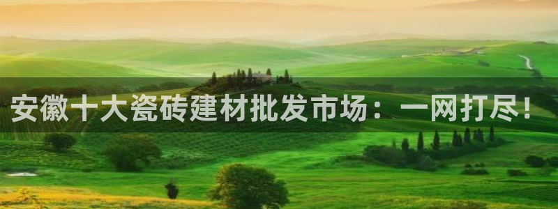 杏鑫代理注册登录