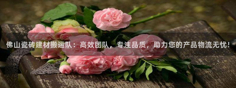 杏鑫平台招商电话