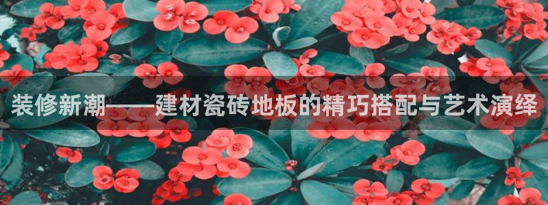 杏鑫平台是黑平台吗