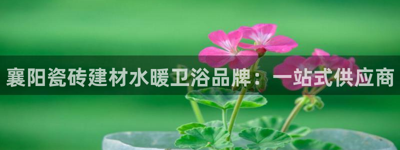 杏鑫平台登陆