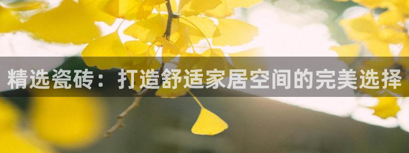 杏鑫平台代理注册流程及费用