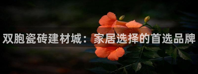 杏鑫平台直属