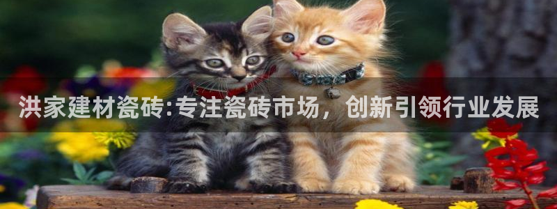 杏鑫官方平台怎么样