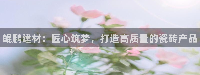 杏鑫官方app代理