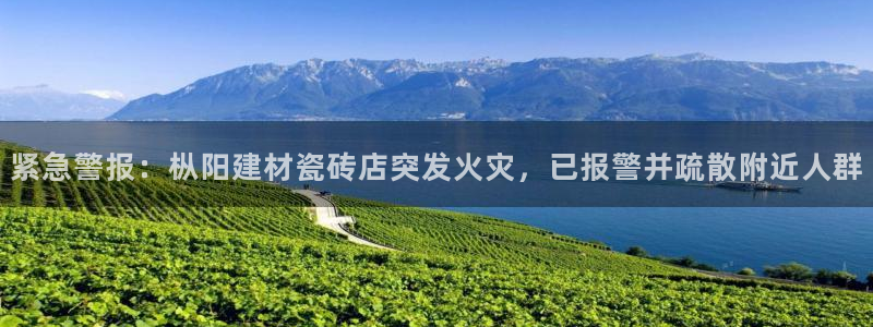杏鑫娱乐-官方网站