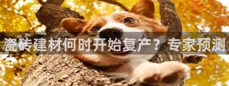 杏鑫娱乐平台登录