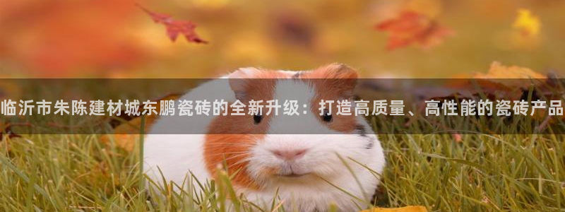 杏鑫平台代理怎么样