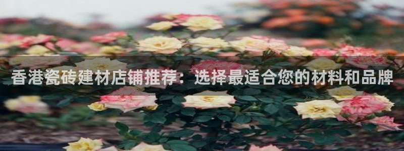 杏鑫注册登录