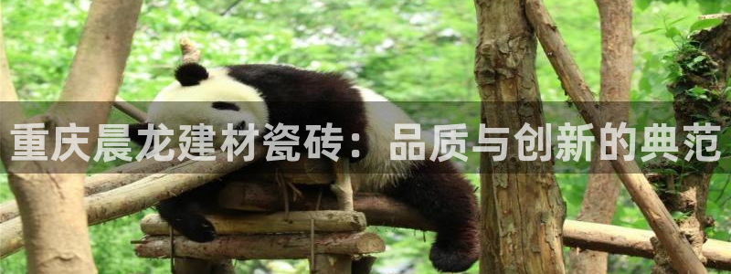 杏鑫平台在线注册