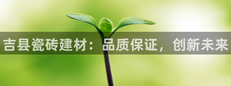 杏鑫官网注册账号是什么意思