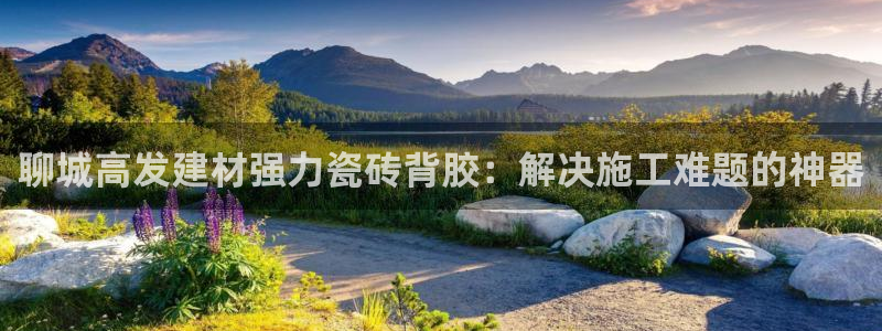 杏鑫平台代理注册流程视频