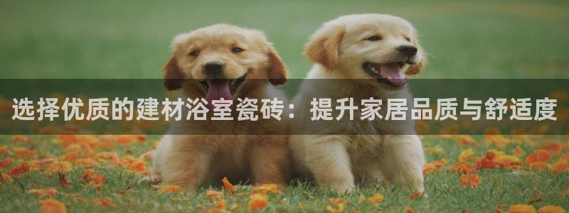 杏鑫平台广7O777