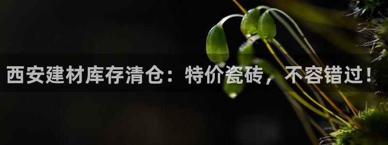 杏鑫平台下载安装