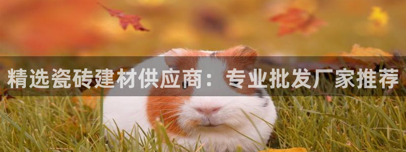 杏鑫官方平台怎么样啊可靠吗