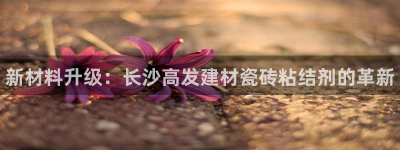 杏鑫注册平台官方网站入口