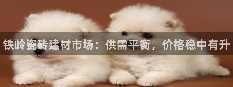 杏鑫平台是黑平台吗是真的吗