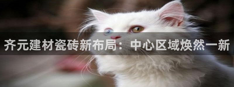杏鑫平台线路测速