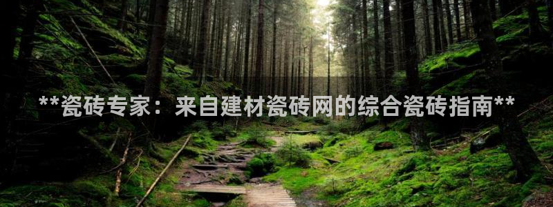 杏鑫平台代理注册多少钱一年