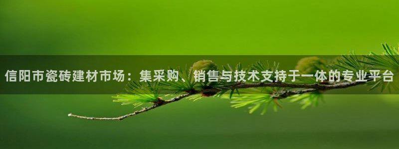 杏鑫官网注册账号密码