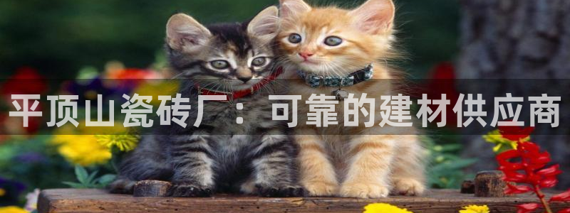 杏鑫娱乐多少年了