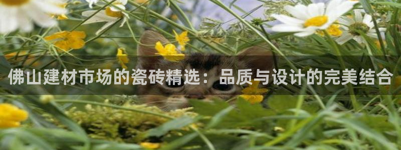 杏鑫平台招商电话号码是多少