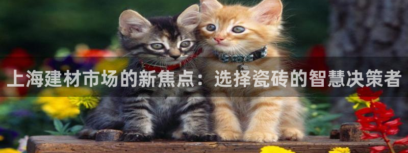 杏鑫平台注册入口在哪里找