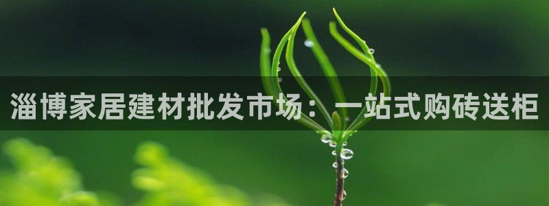 杏鑫注册登录代理