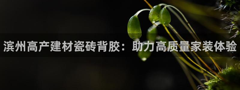 杏鑫注册登录网址是多少