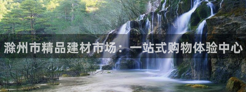 杏鑫手机客户端怎么下载