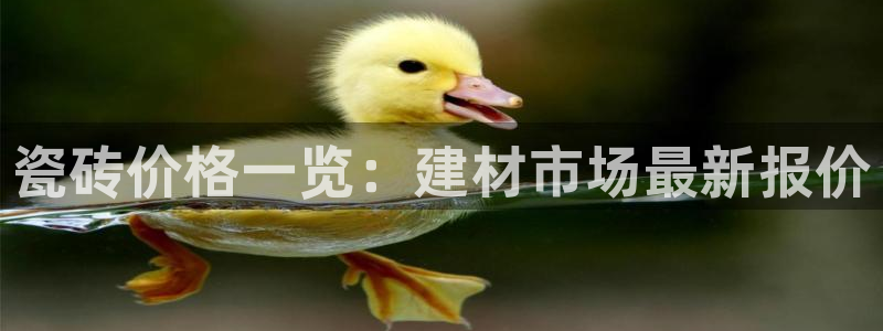 杏鑫平台野马联盟