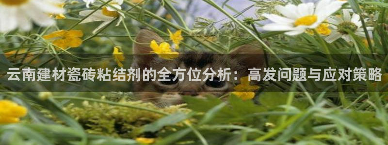 杏鑫平台代理注册